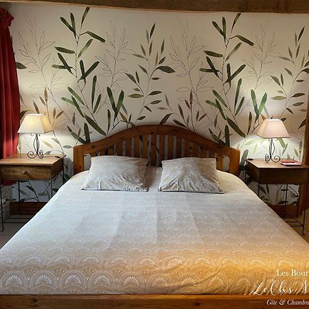 Chambres D'Hotes Les Bournais - Le Clos Milady L'Ile-Bouchard エクステリア 写真