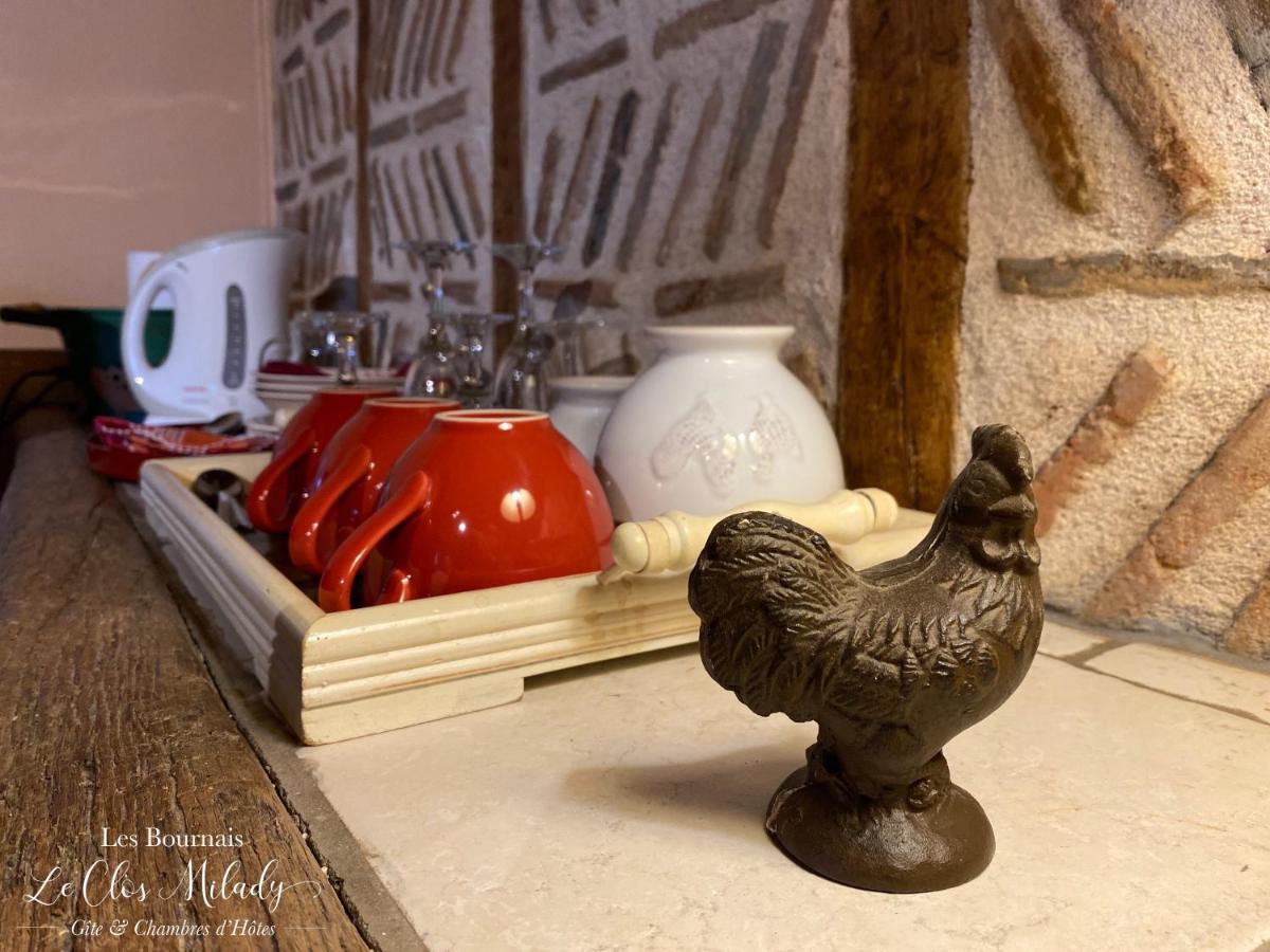 Chambres D'Hotes Les Bournais - Le Clos Milady L'Ile-Bouchard エクステリア 写真