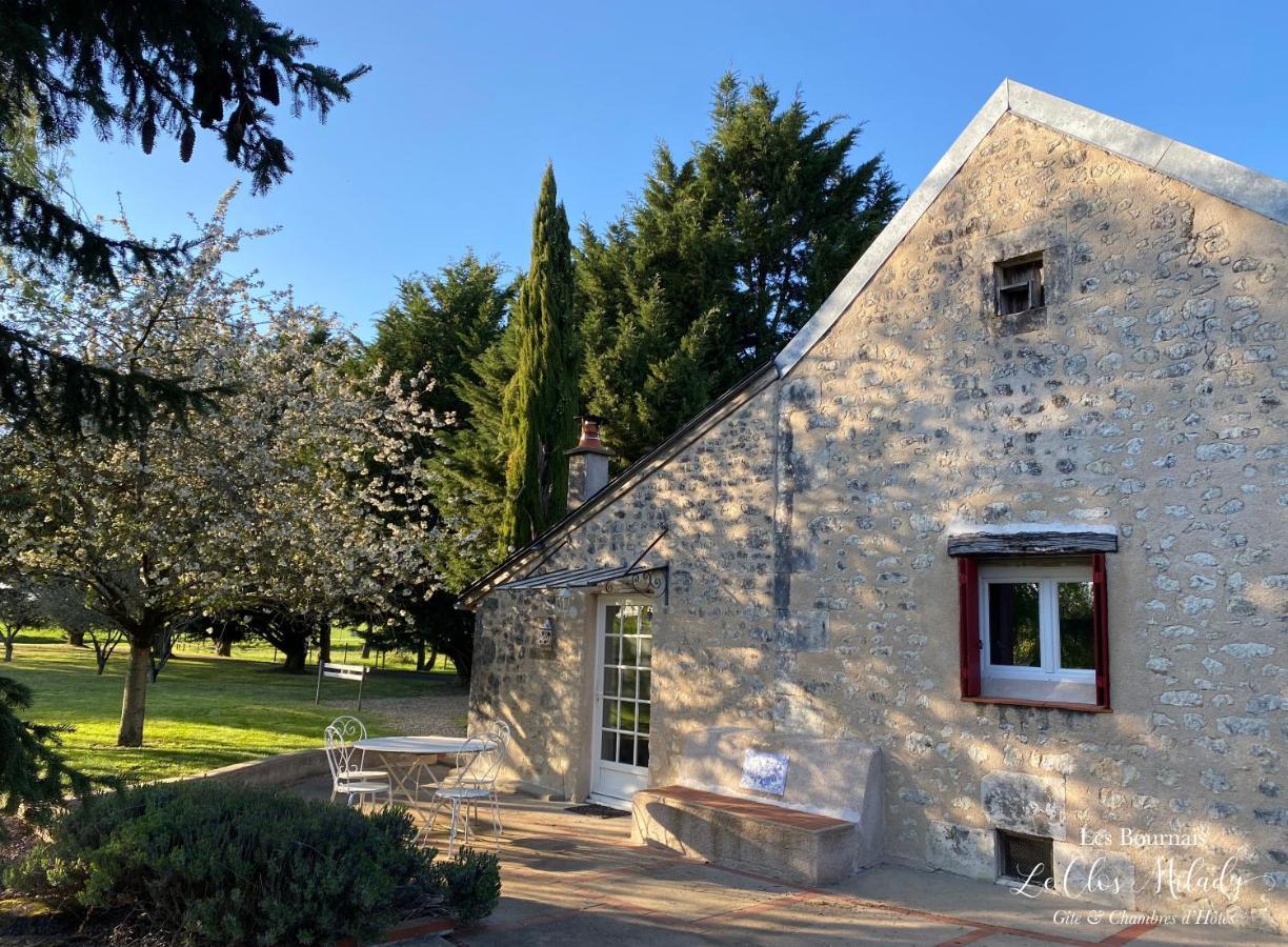 Chambres D'Hotes Les Bournais - Le Clos Milady L'Ile-Bouchard エクステリア 写真