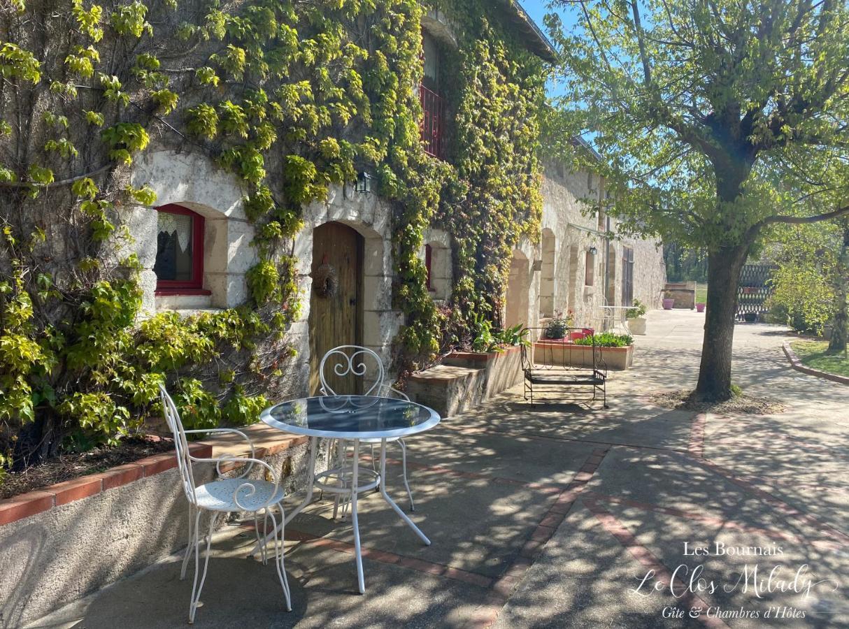 Chambres D'Hotes Les Bournais - Le Clos Milady L'Ile-Bouchard エクステリア 写真