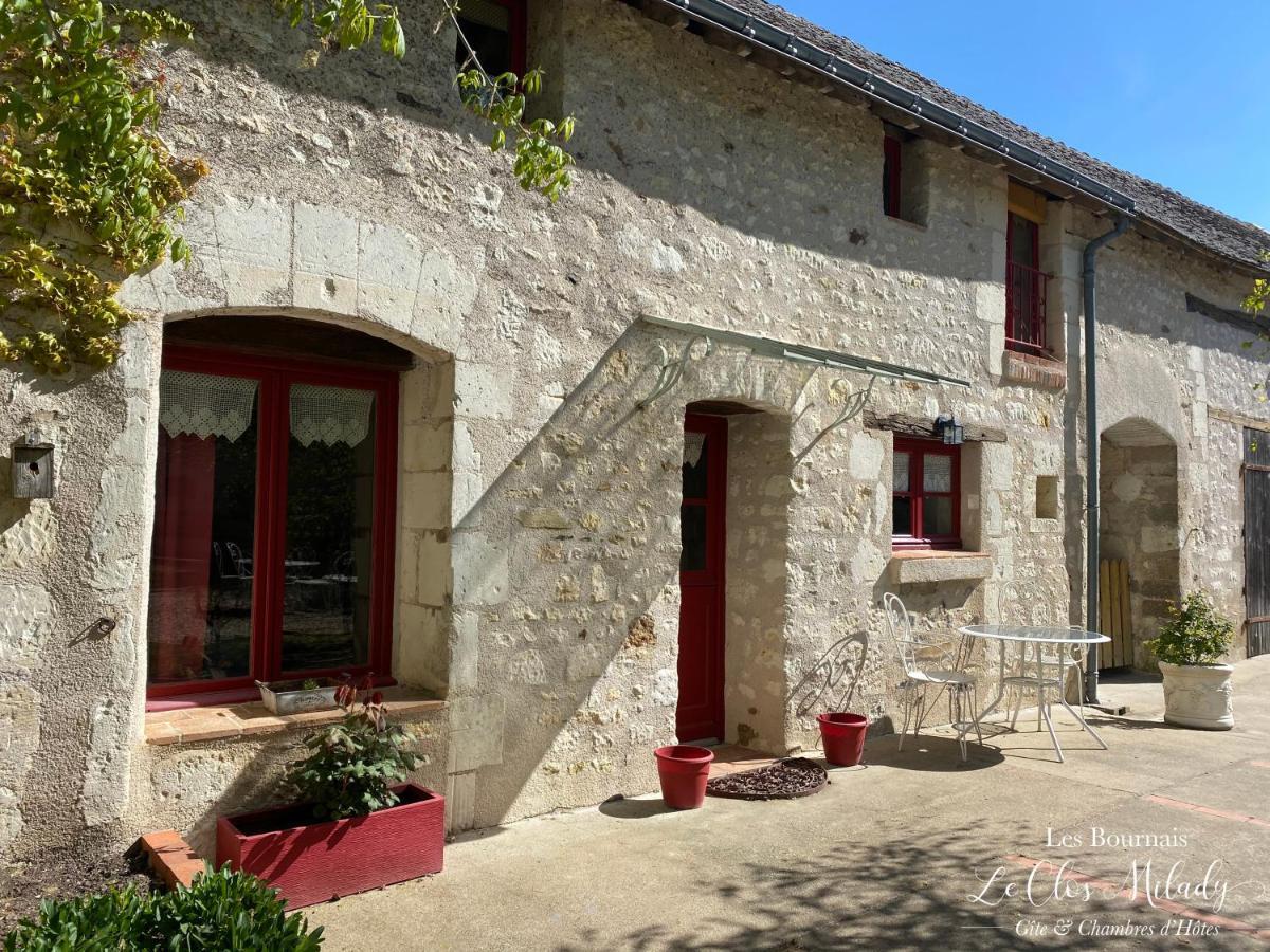 Chambres D'Hotes Les Bournais - Le Clos Milady L'Ile-Bouchard エクステリア 写真