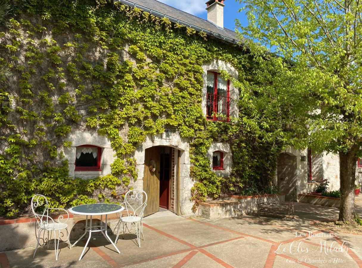 Chambres D'Hotes Les Bournais - Le Clos Milady L'Ile-Bouchard エクステリア 写真
