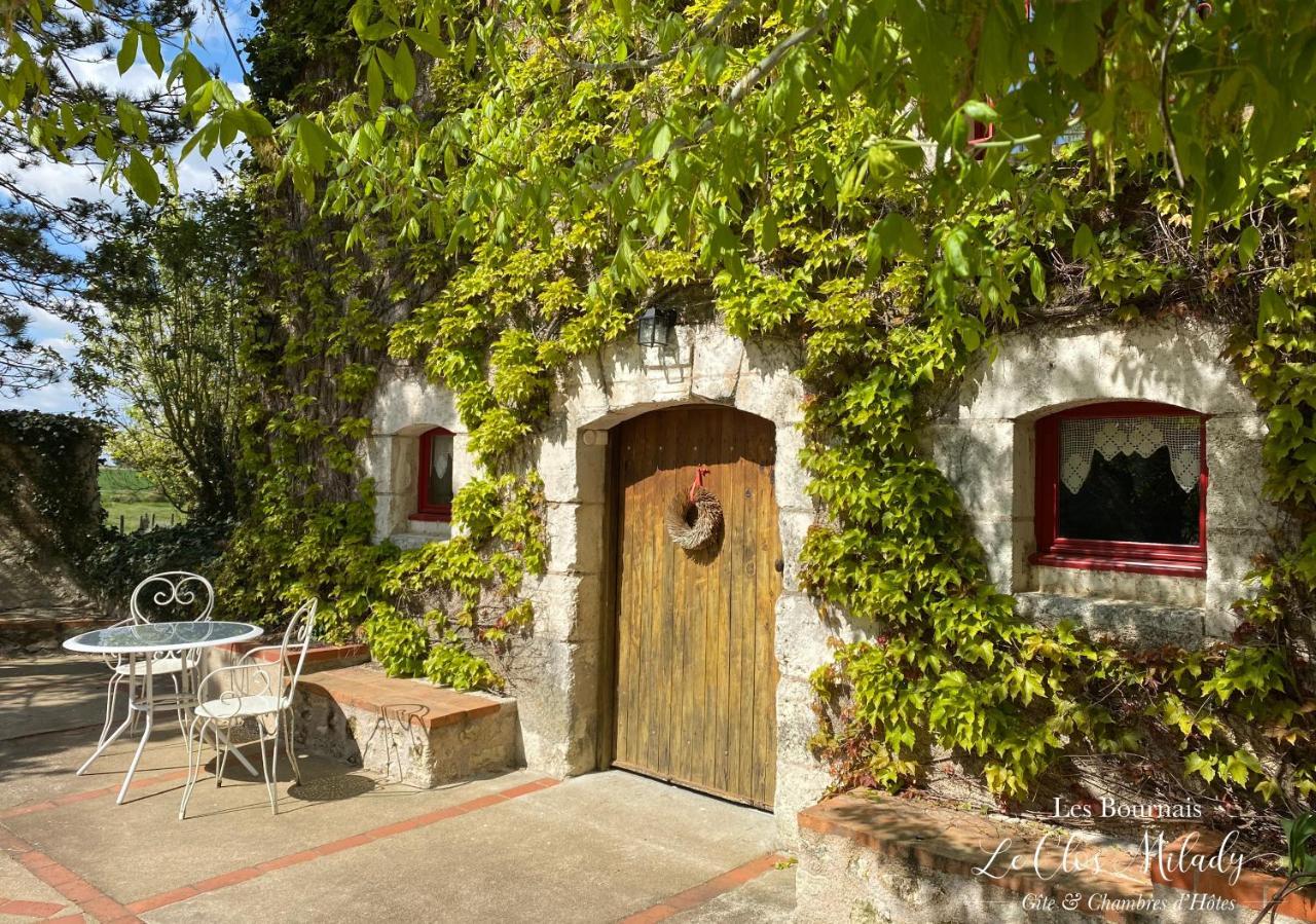 Chambres D'Hotes Les Bournais - Le Clos Milady L'Ile-Bouchard エクステリア 写真