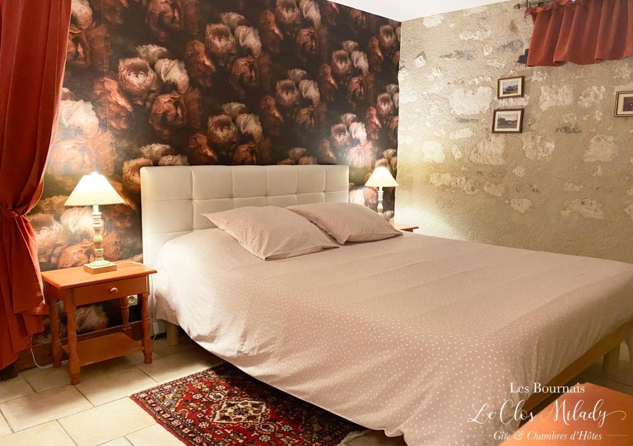 Chambres D'Hotes Les Bournais - Le Clos Milady L'Ile-Bouchard エクステリア 写真
