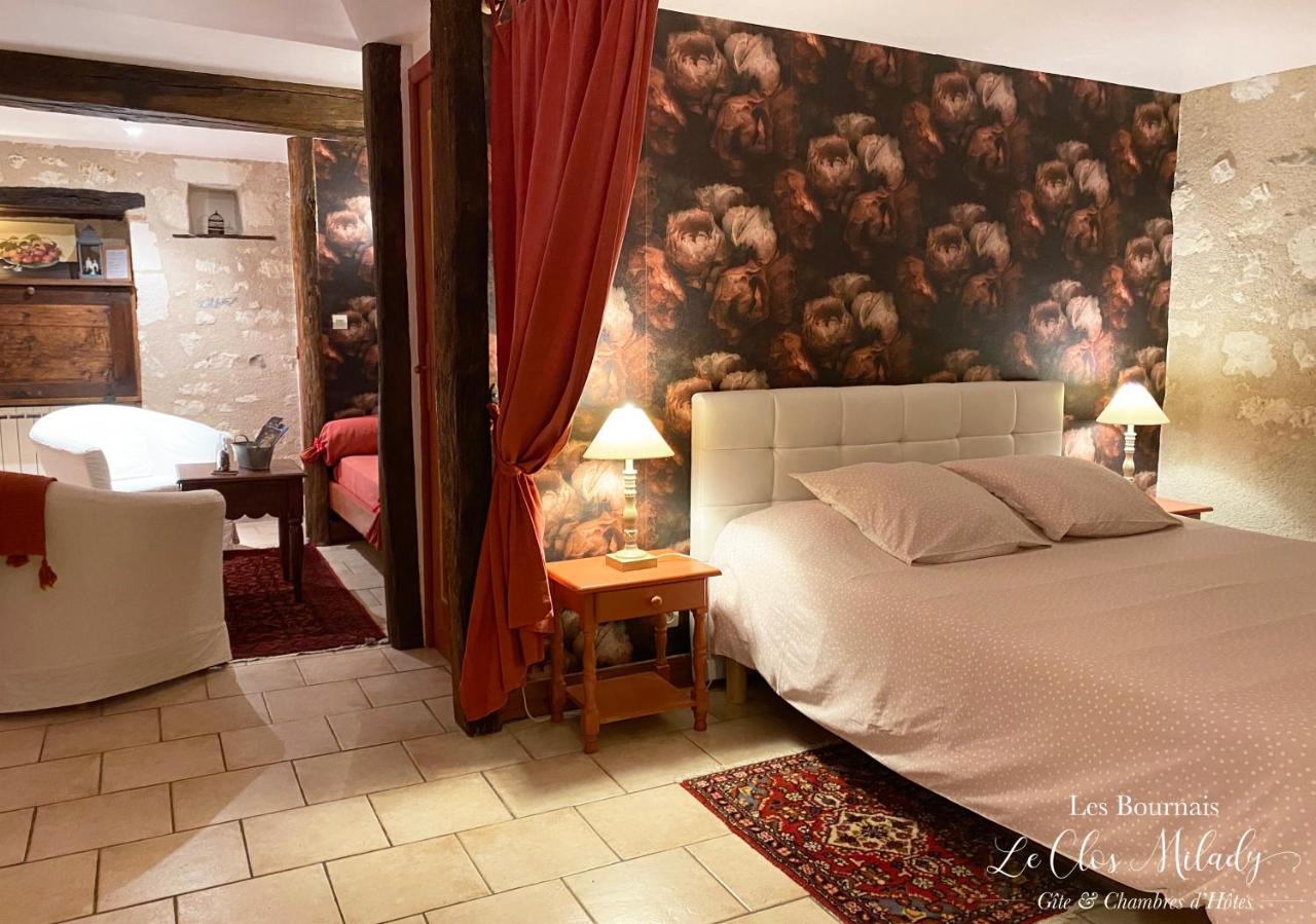 Chambres D'Hotes Les Bournais - Le Clos Milady L'Ile-Bouchard エクステリア 写真