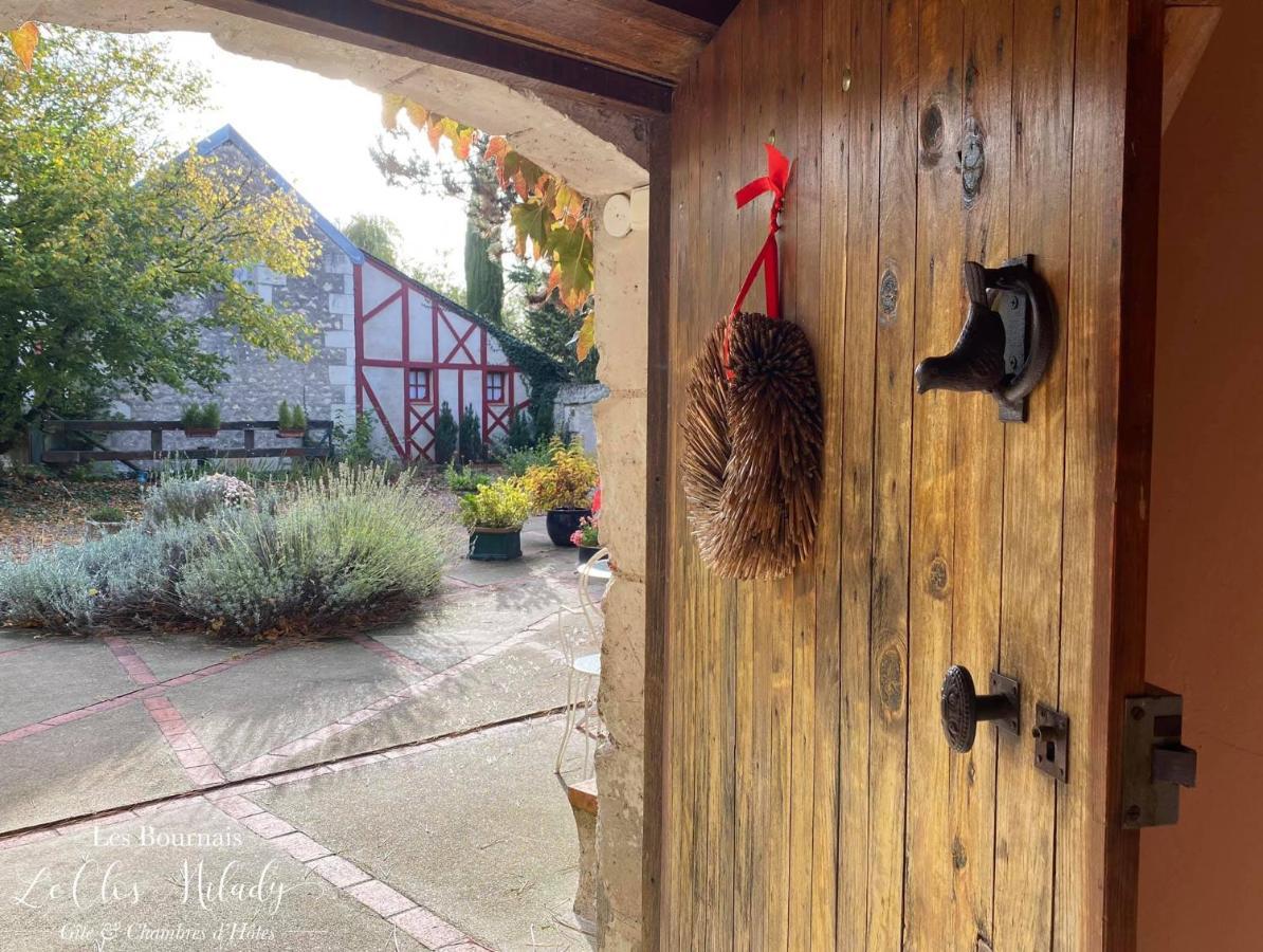 Chambres D'Hotes Les Bournais - Le Clos Milady L'Ile-Bouchard エクステリア 写真