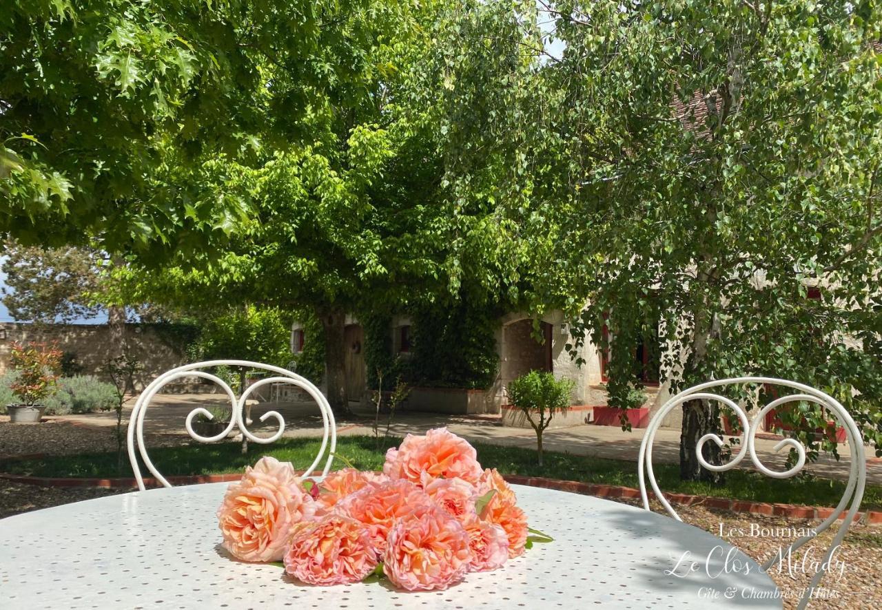 Chambres D'Hotes Les Bournais - Le Clos Milady L'Ile-Bouchard エクステリア 写真