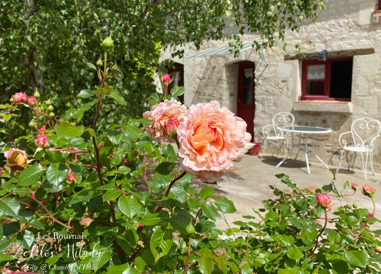 Chambres D'Hotes Les Bournais - Le Clos Milady L'Ile-Bouchard エクステリア 写真