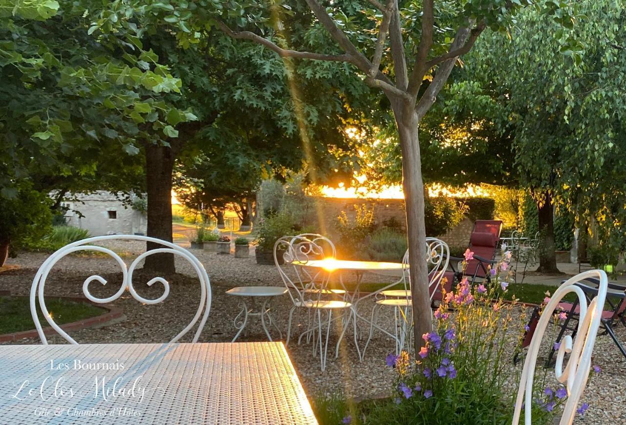 Chambres D'Hotes Les Bournais - Le Clos Milady L'Ile-Bouchard エクステリア 写真