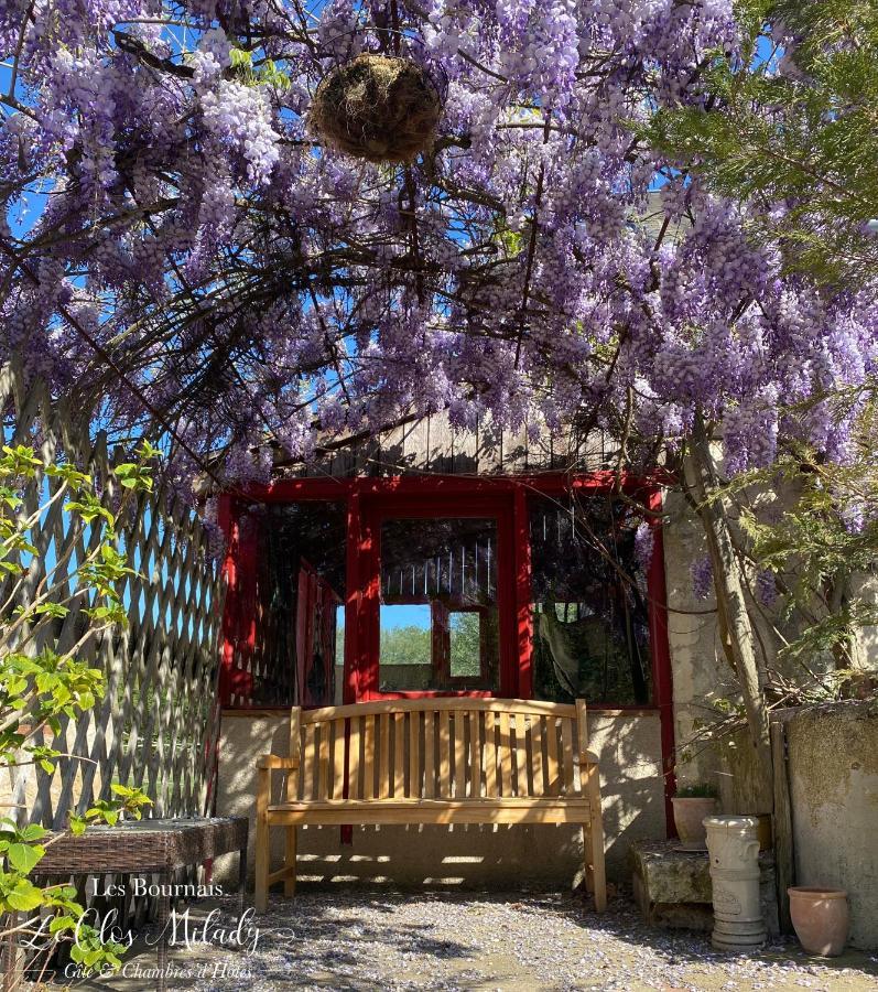 Chambres D'Hotes Les Bournais - Le Clos Milady L'Ile-Bouchard エクステリア 写真