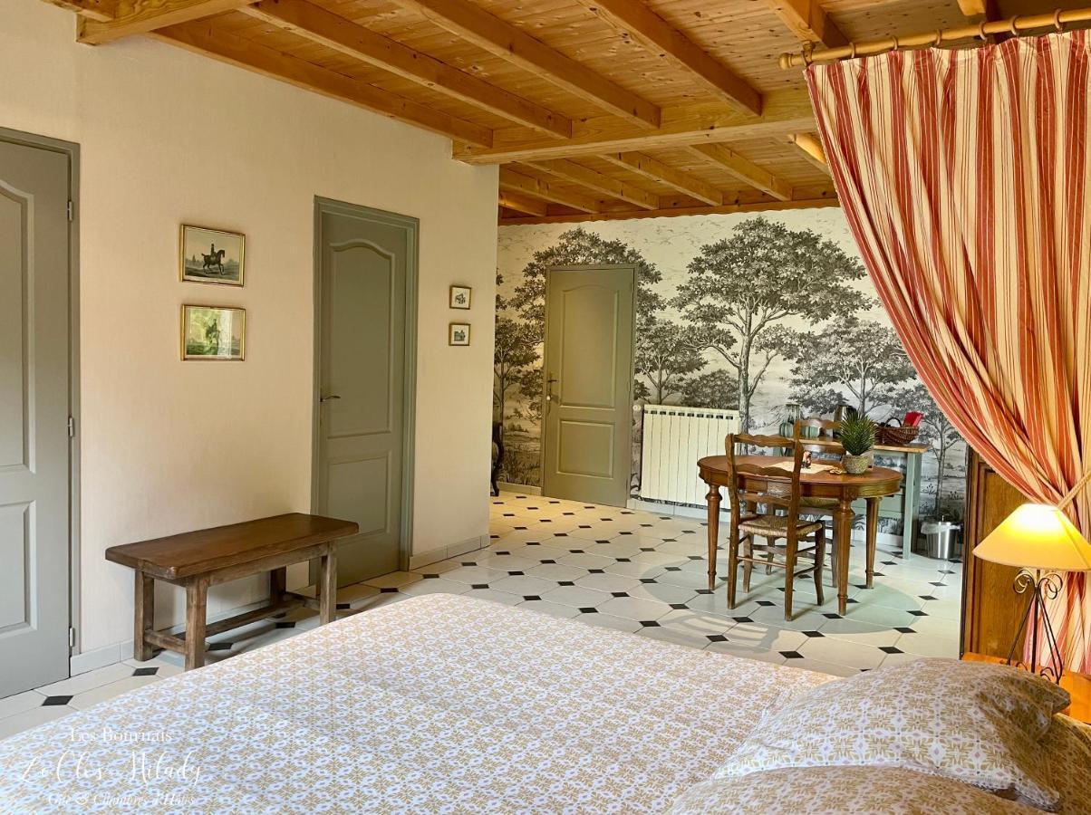 Chambres D'Hotes Les Bournais - Le Clos Milady L'Ile-Bouchard エクステリア 写真