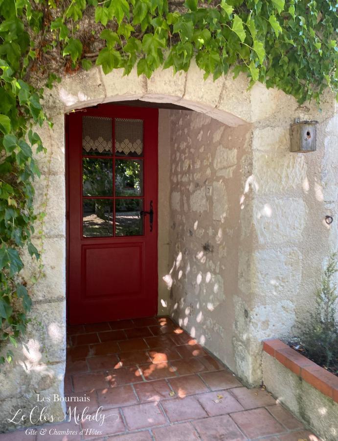 Chambres D'Hotes Les Bournais - Le Clos Milady L'Ile-Bouchard エクステリア 写真