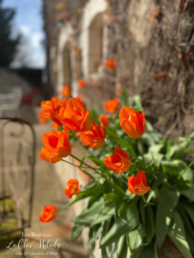 Chambres D'Hotes Les Bournais - Le Clos Milady L'Ile-Bouchard エクステリア 写真