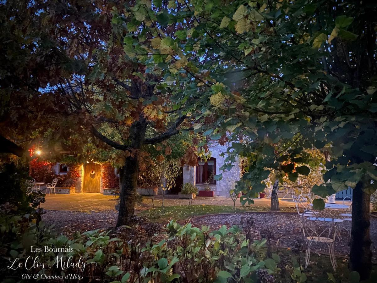 Chambres D'Hotes Les Bournais - Le Clos Milady L'Ile-Bouchard エクステリア 写真
