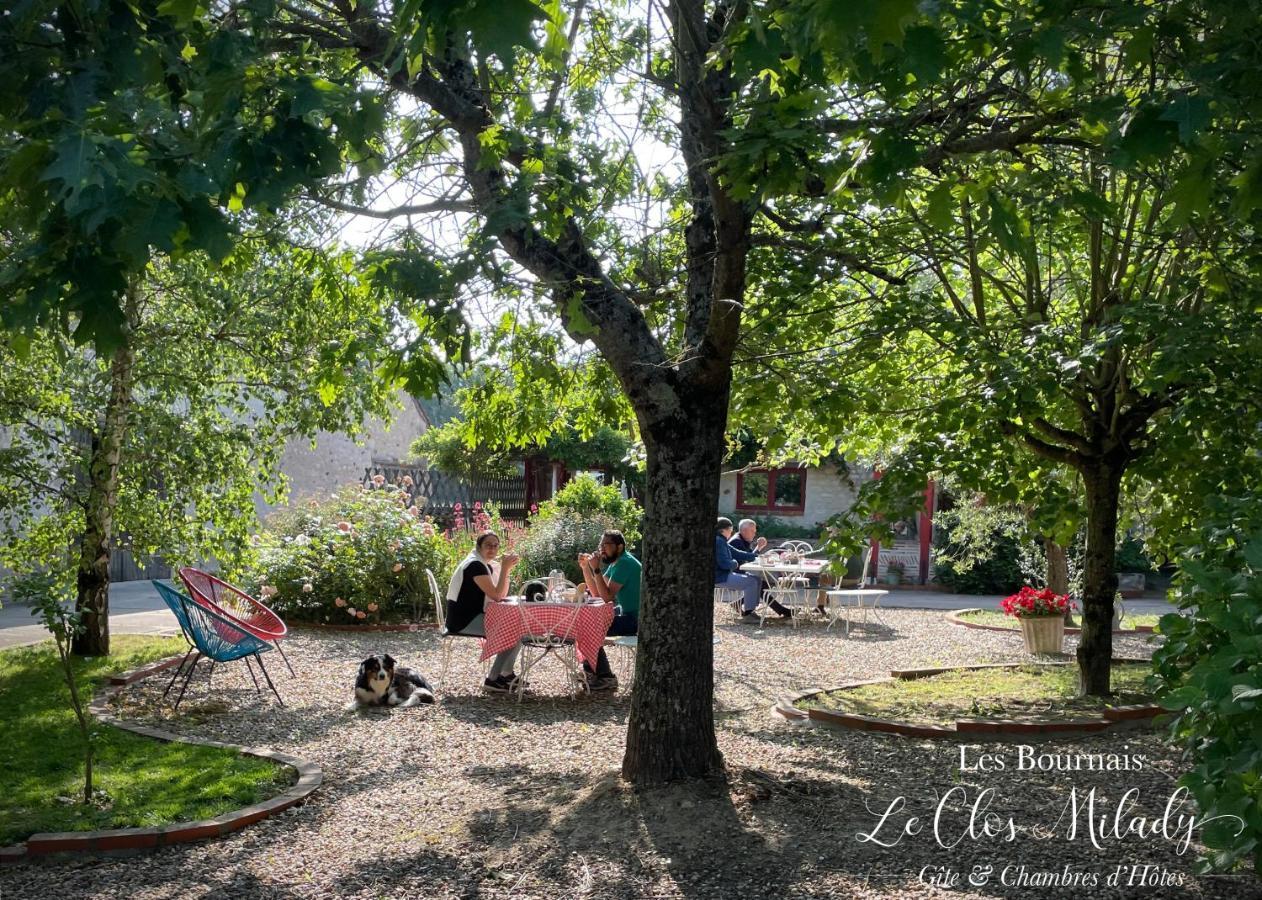 Chambres D'Hotes Les Bournais - Le Clos Milady L'Ile-Bouchard エクステリア 写真