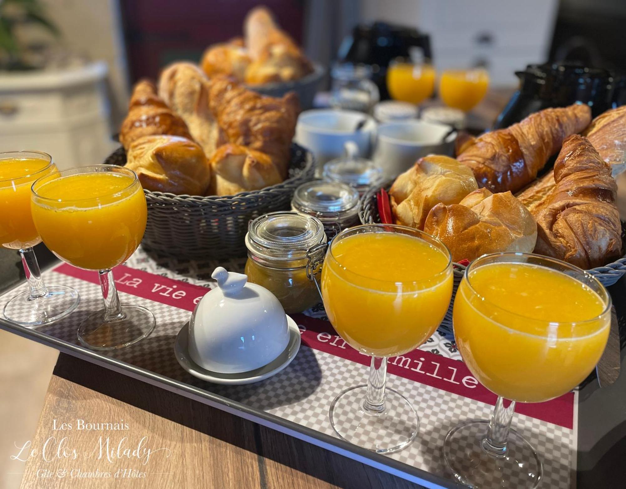 Chambres D'Hotes Les Bournais - Le Clos Milady L'Ile-Bouchard エクステリア 写真