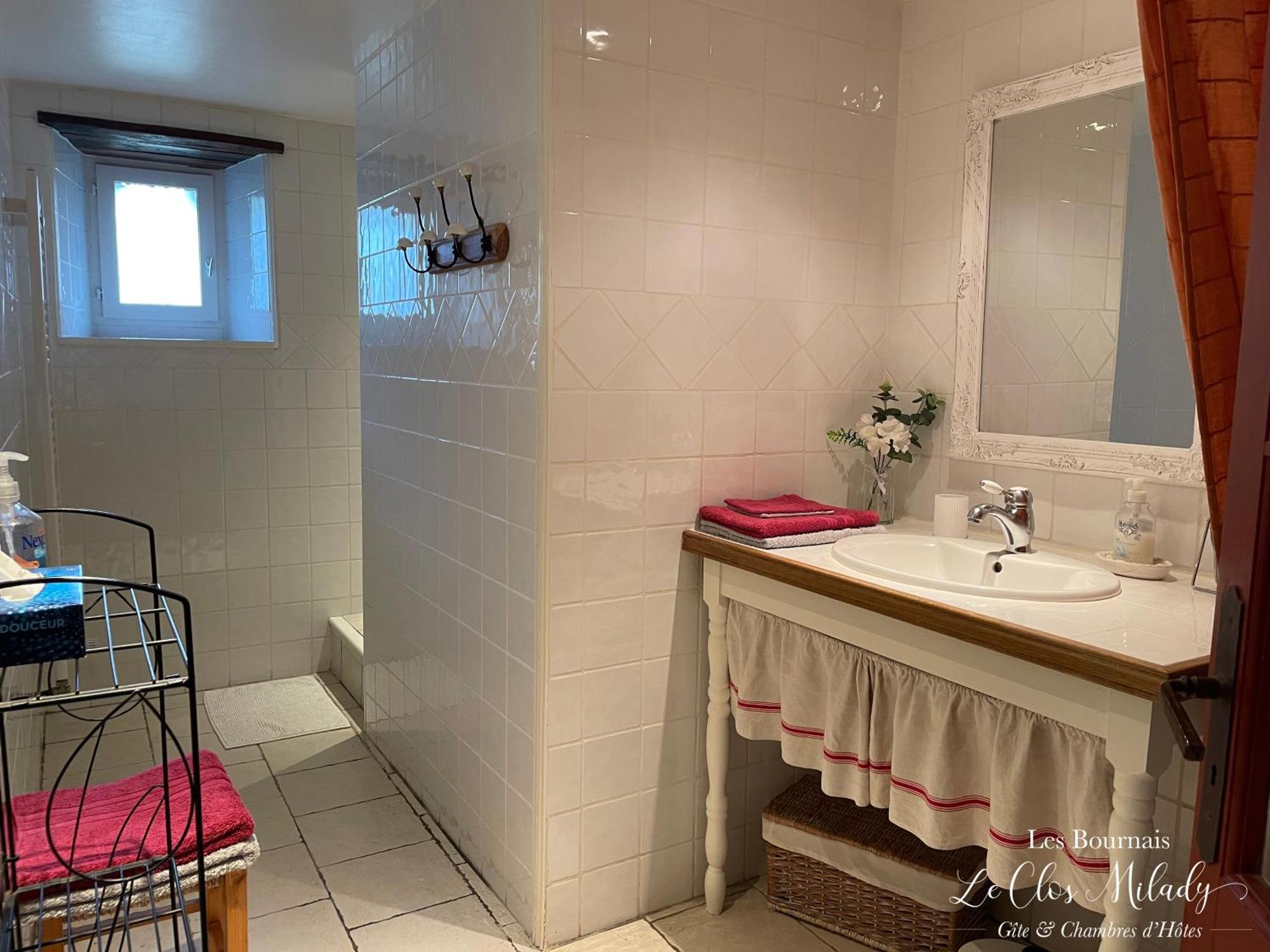 Chambres D'Hotes Les Bournais - Le Clos Milady L'Ile-Bouchard エクステリア 写真