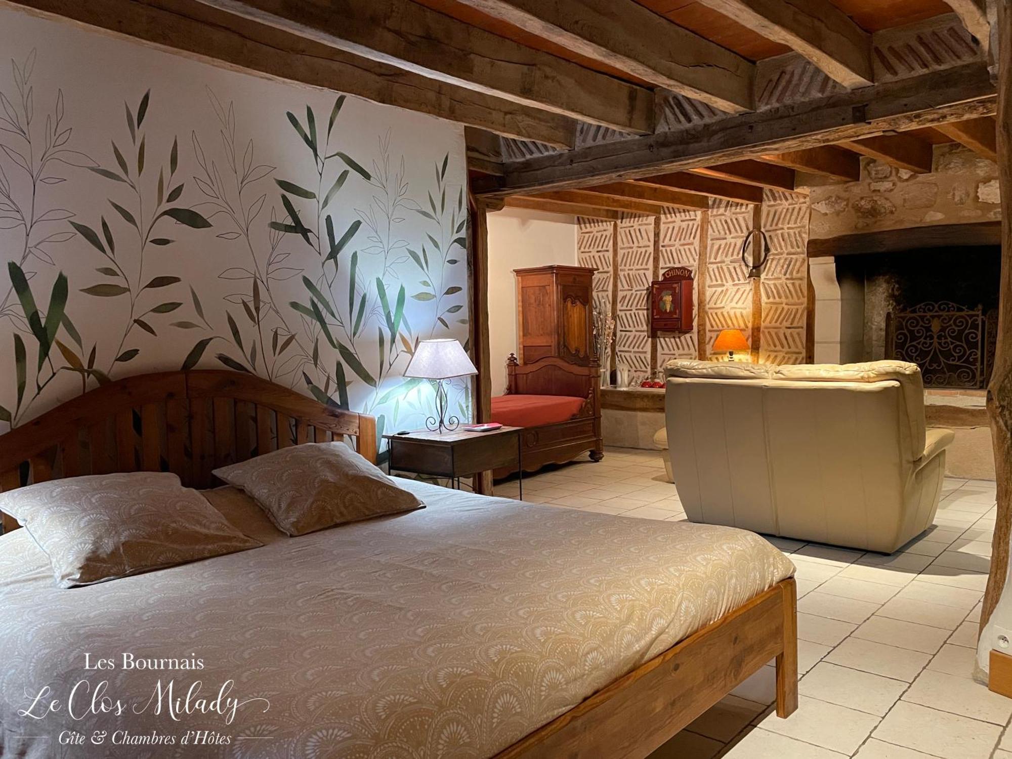 Chambres D'Hotes Les Bournais - Le Clos Milady L'Ile-Bouchard エクステリア 写真