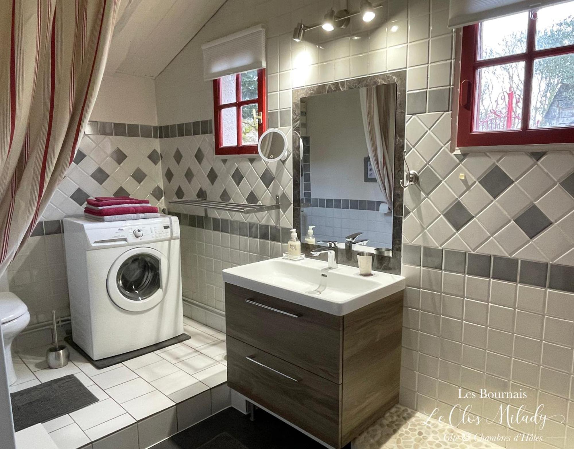 Chambres D'Hotes Les Bournais - Le Clos Milady L'Ile-Bouchard エクステリア 写真
