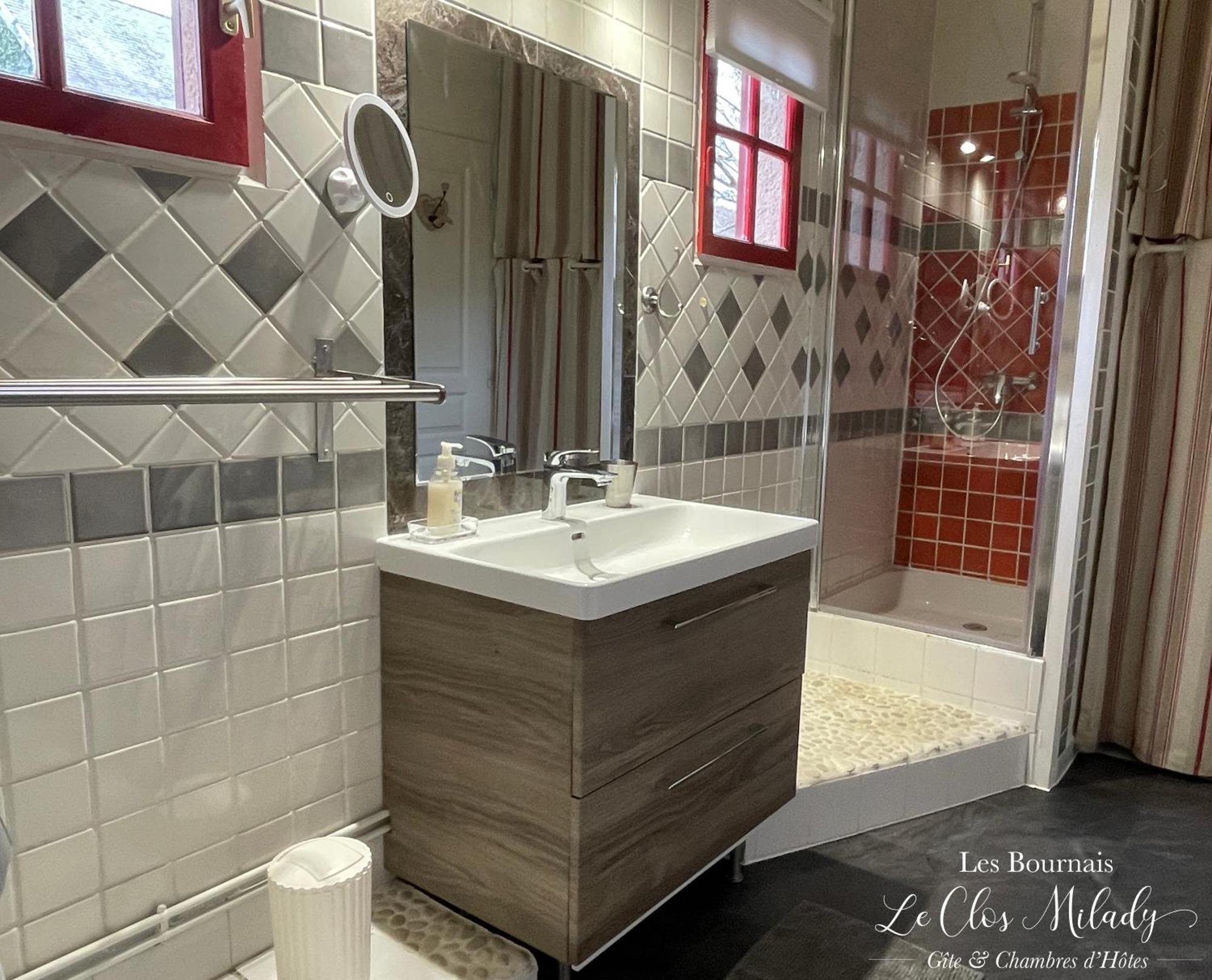 Chambres D'Hotes Les Bournais - Le Clos Milady L'Ile-Bouchard エクステリア 写真